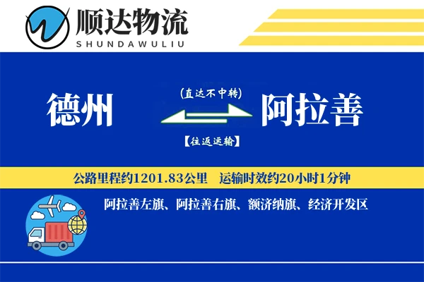 德州到阿拉善物流公司