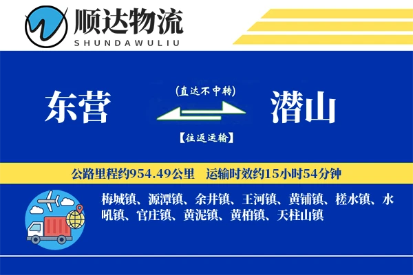 东营到潜山物流公司