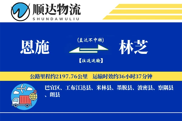 恩施到林芝物流公司-特种货运专线「定制化方案」