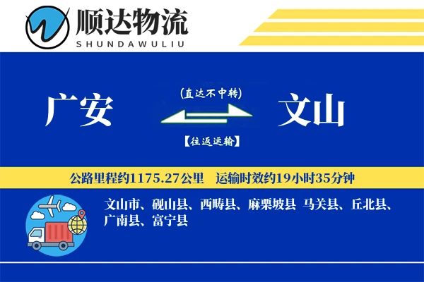广安到文山物流公司