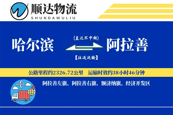 哈尔滨到阿拉善物流公司