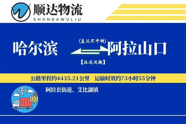 哈尔滨到阿拉山口物流公司