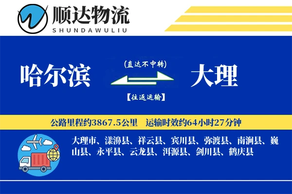 哈尔滨到大理物流公司