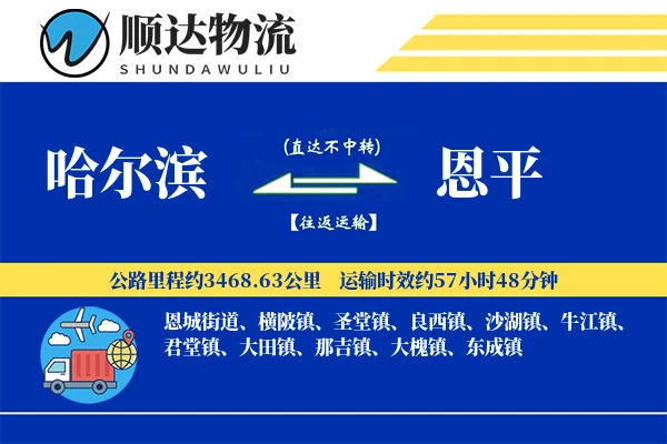 哈尔滨到恩平物流公司