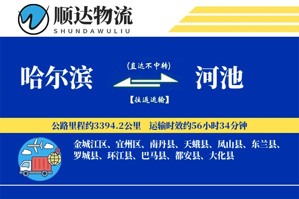 哈尔滨到河池物流公司