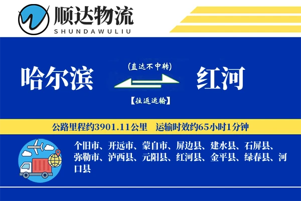 哈尔滨到红河物流公司