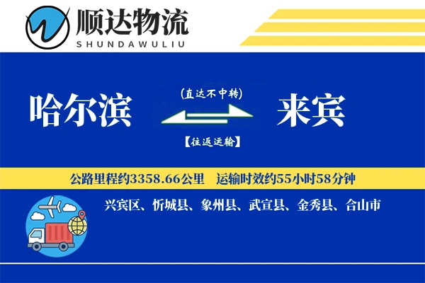 哈尔滨到来宾物流公司