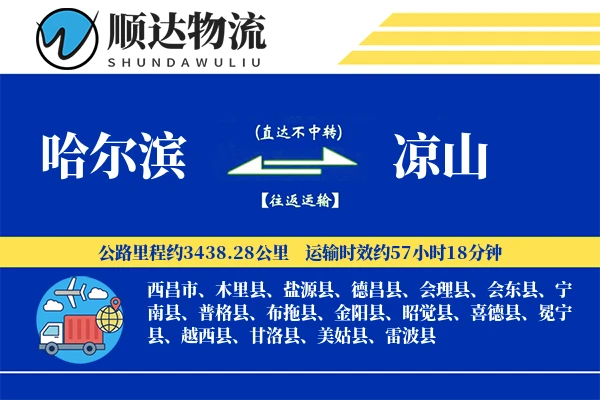 哈尔滨到凉山物流公司
