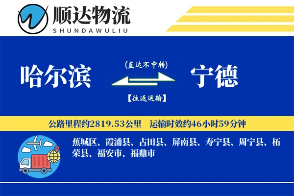 哈尔滨到宁德物流公司
