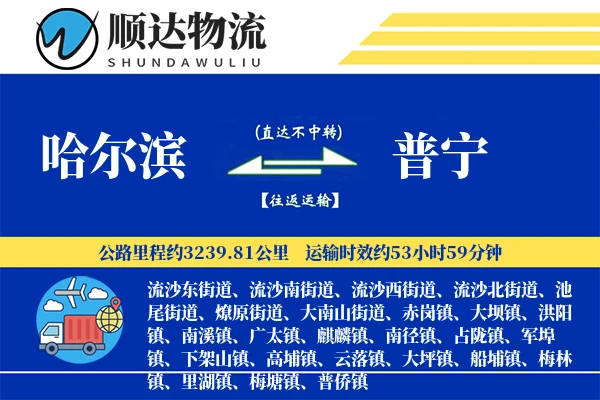哈尔滨到普宁物流公司