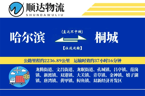 哈尔滨到桐城物流公司