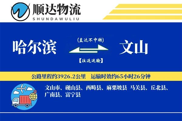 哈尔滨到文山物流公司