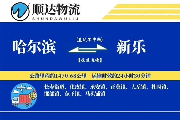 哈尔滨到新乐物流公司