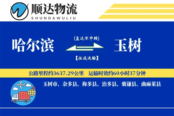 哈尔滨到玉树物流公司