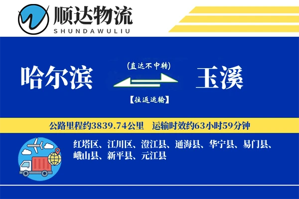 哈尔滨到玉溪物流公司