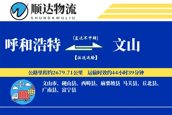 呼和浩特到文山物流公司