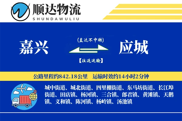 嘉兴到应城物流公司