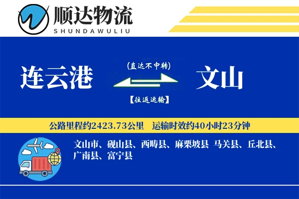 连云港到文山物流公司