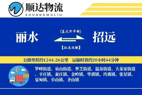 丽水到招远物流公司