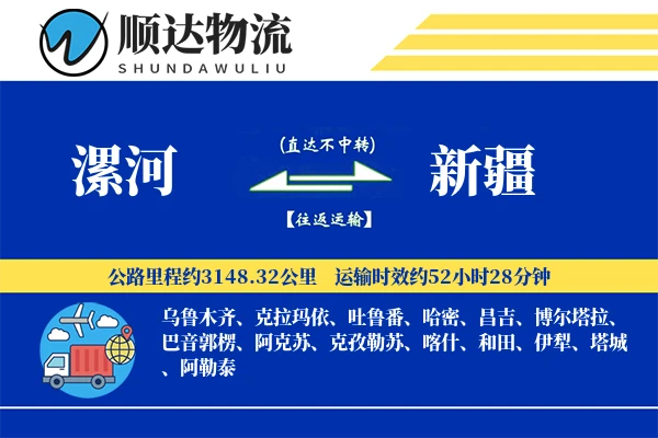 漯河到新疆物流公司