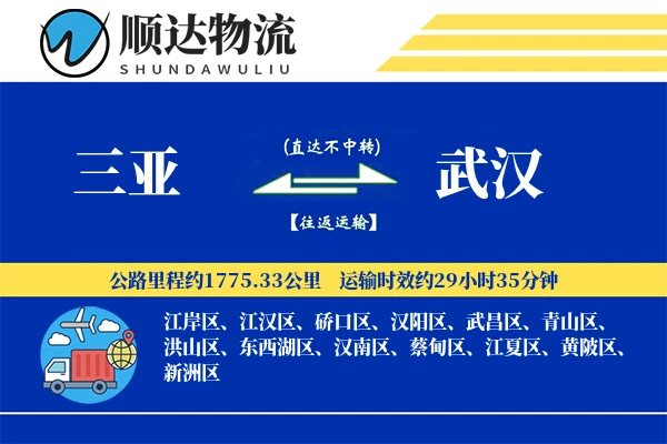 三亚到武汉物流公司