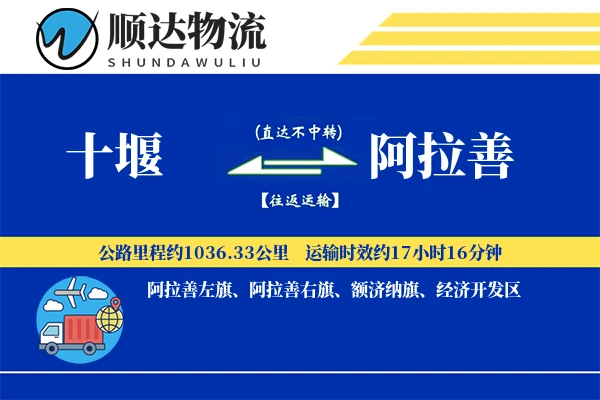 十堰到阿拉善物流公司
