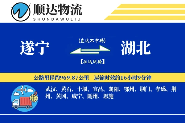 遂宁到湖北物流公司