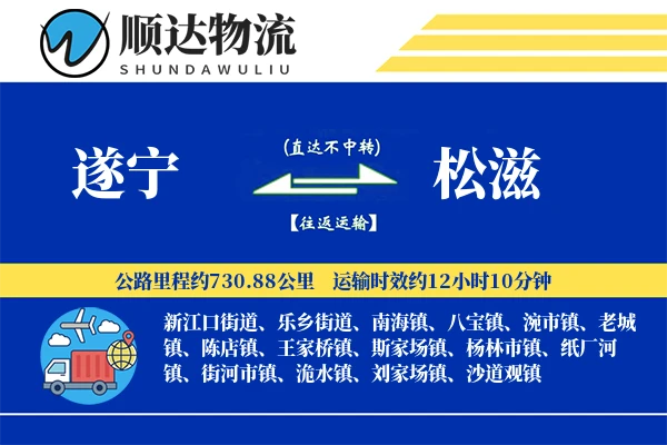 遂宁到松滋物流公司-设备物流专线「透明计费」