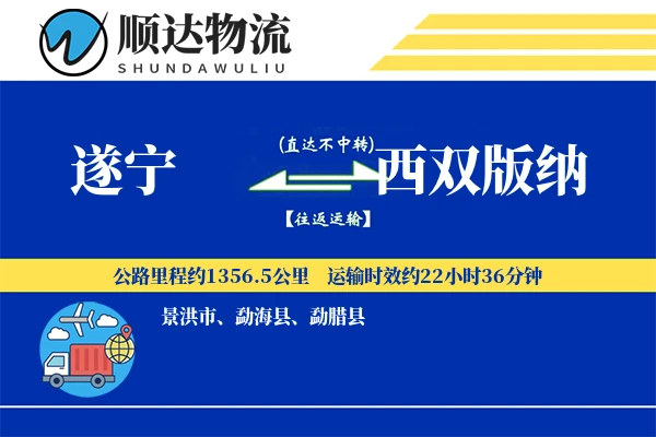 遂宁到西双版纳物流公司