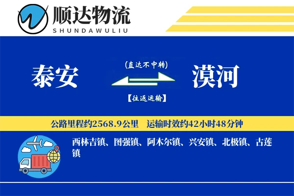 泰安到漠河物流公司-小件货运专线「全天候配送」