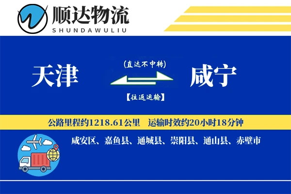 天津到咸宁物流公司