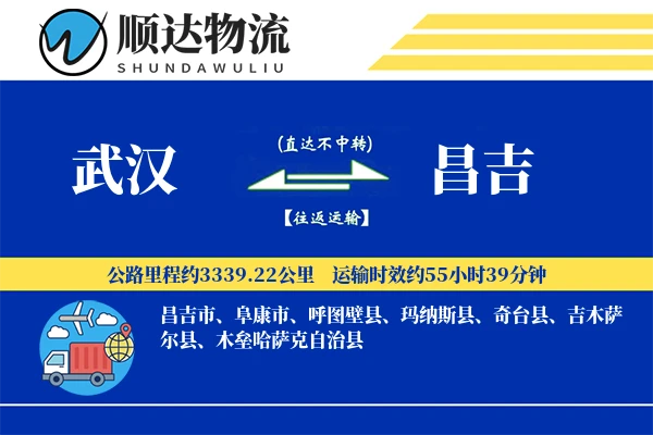 武汉到昌吉物流公司