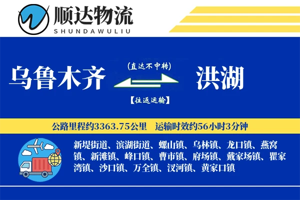 乌鲁木齐到洪湖物流公司