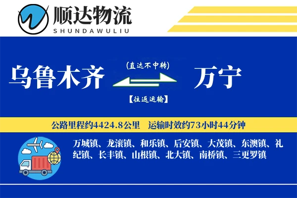 乌鲁木齐到万宁物流公司