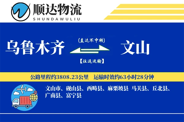 乌鲁木齐到文山物流公司