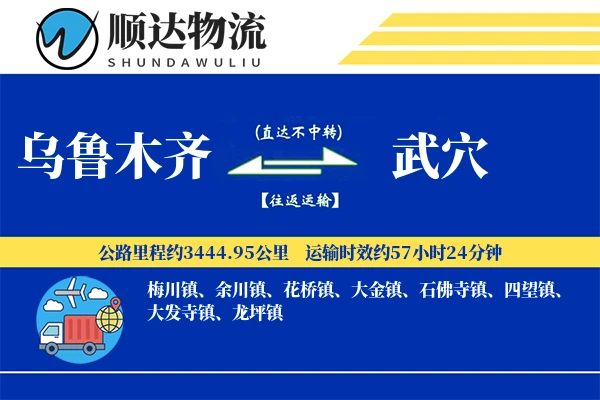 乌鲁木齐到武穴物流公司