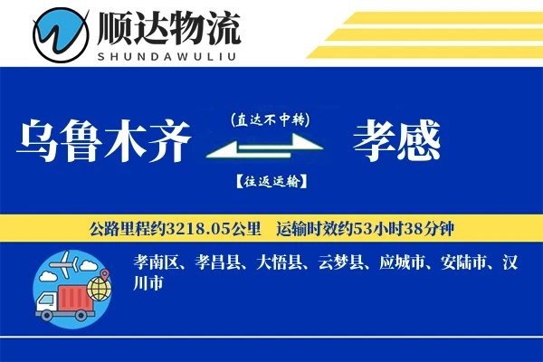 乌鲁木齐到孝感物流公司
