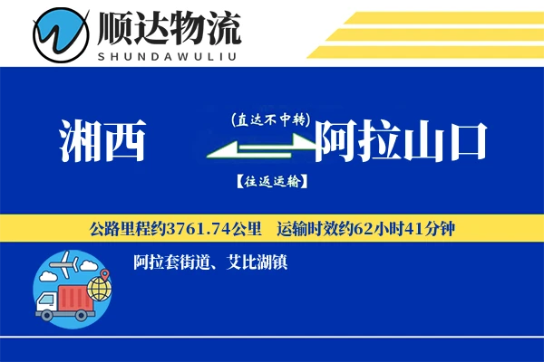湘西到阿拉山口物流公司-大件货运专线「限时达服务」