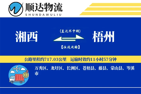 湘西到梧州物流公司-特种物流专线「灵活调度」