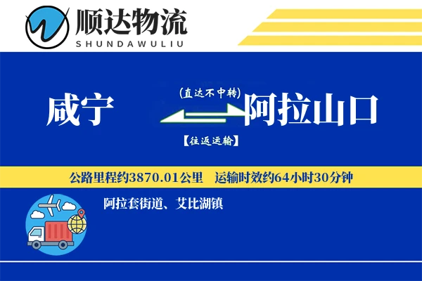 咸宁到阿拉山口物流公司