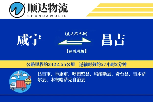 咸宁到昌吉物流公司