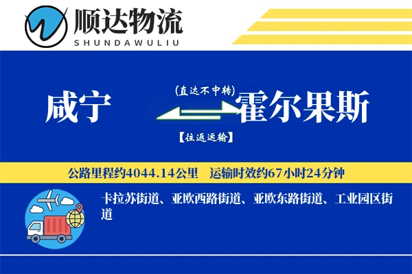 咸宁到霍尔果斯物流公司