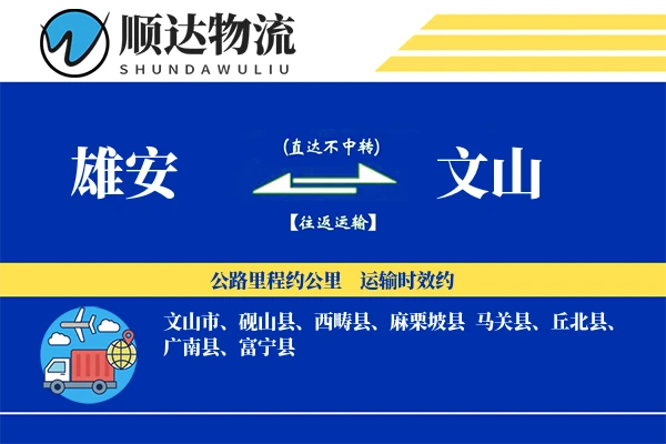 雄安到文山物流公司