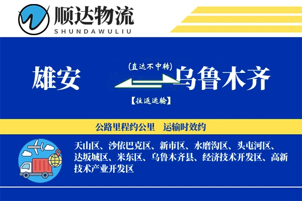 雄安到乌鲁木齐物流公司