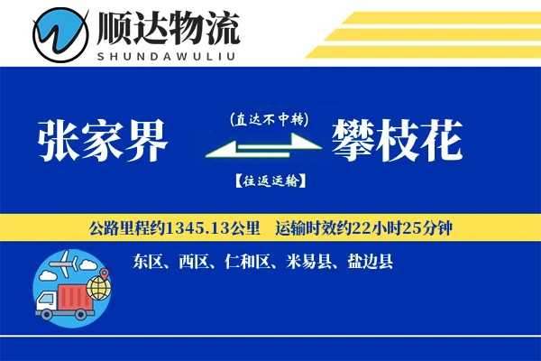 张家界到攀枝花物流公司
