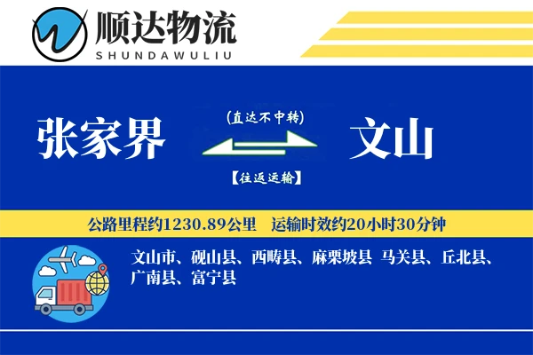 张家界到文山物流公司