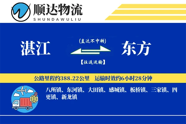 湛江到东方物流公司