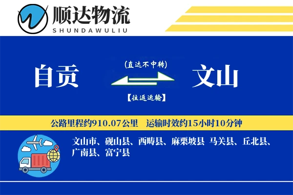 自贡到文山物流公司